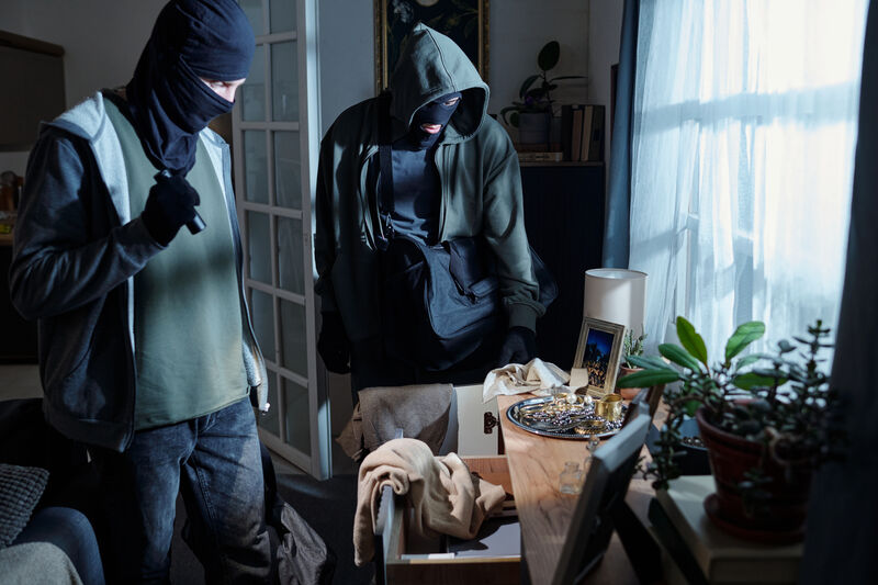 Theft and Fraud Defense